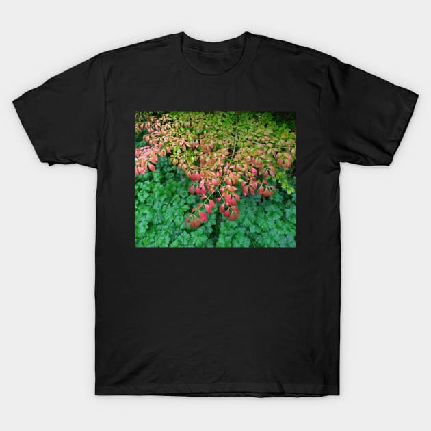 Green Spring Tree - red leaves T-Shirt by LifeSimpliCity